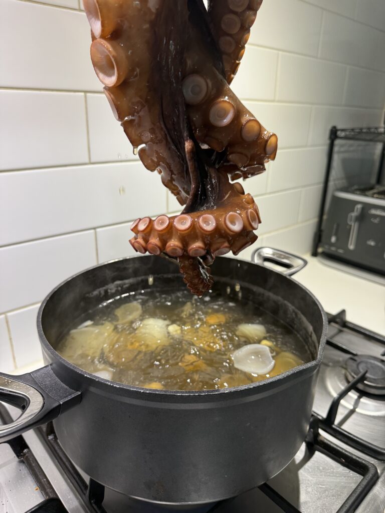 curl the tentacle tails into the boiling water. 