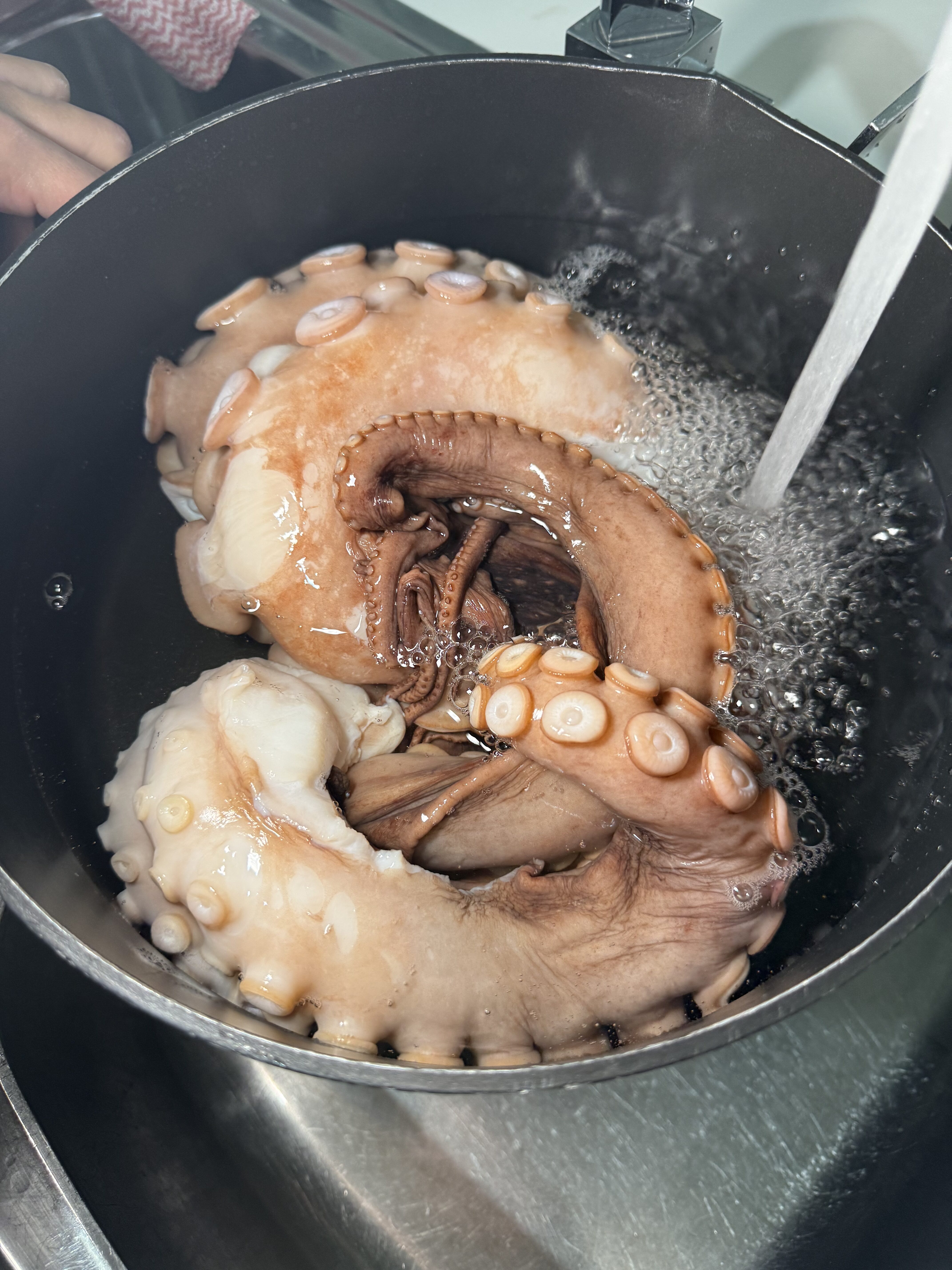 The Ultimate Guide to Tender Grilled Octopus: Two Ways